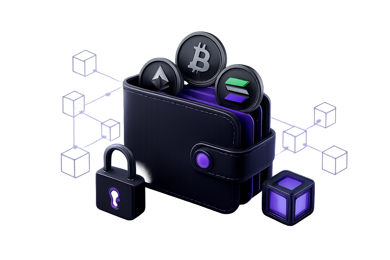 Digital wallets article